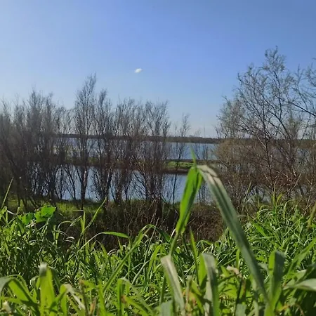 Nel Delta Del Po