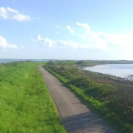 Nel Delta Del Po