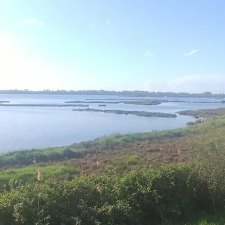 Nel Delta Del Po *