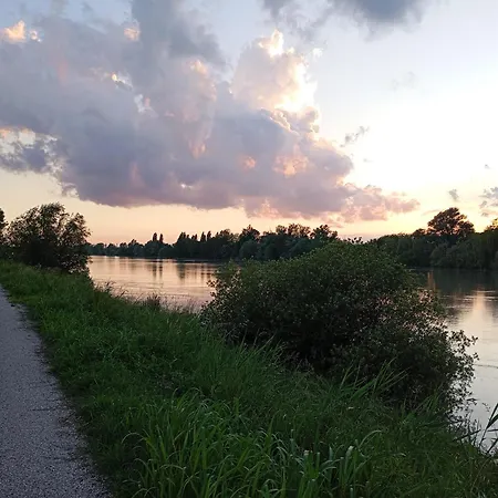 Nel Delta Del Po * Taglio Di Po
