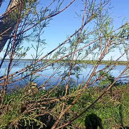 Nel Delta Del Po Taglio Di Po