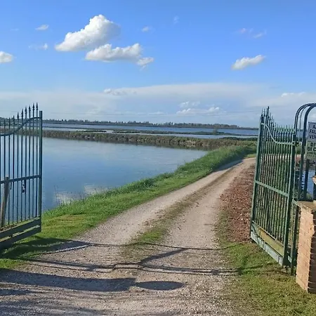 Nel Delta Del Po Taglio Di Po