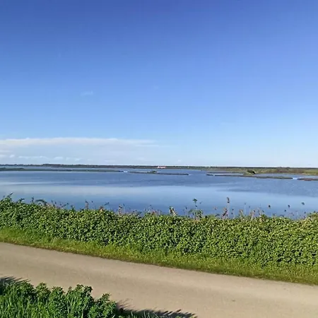Nel Delta Del Po Taglio Di Po