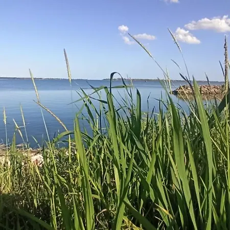 Nel Delta Del Po * Taglio Di Po