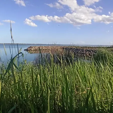 Nel Delta Del Po