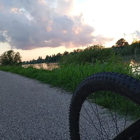 Nel Delta Del Po Taglio Di Po