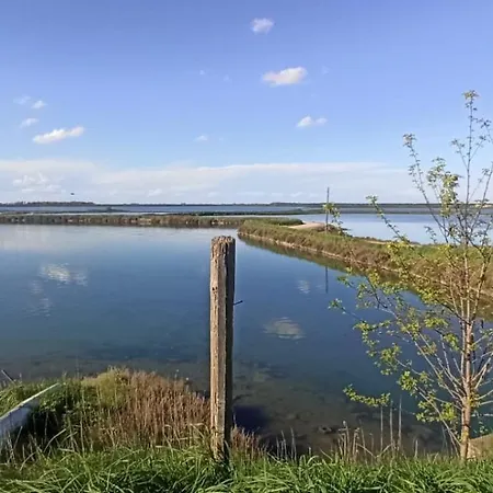 Nel Delta Del Po