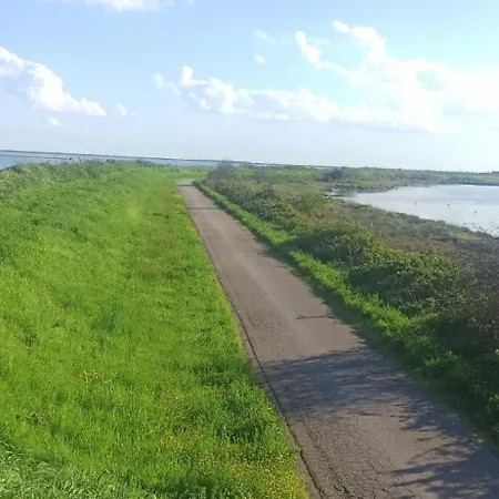 Nel Delta Del Po Taglio Di Po