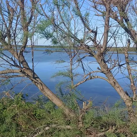 Nel Delta Del Po * Taglio Di Po